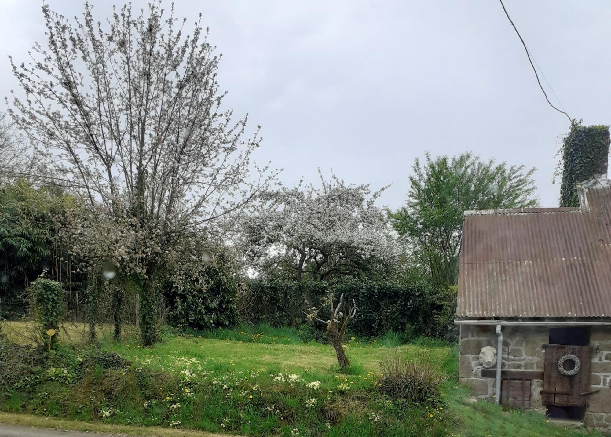 Wildberry Cottage Orgères-la-Roche المظهر الخارجي الصورة